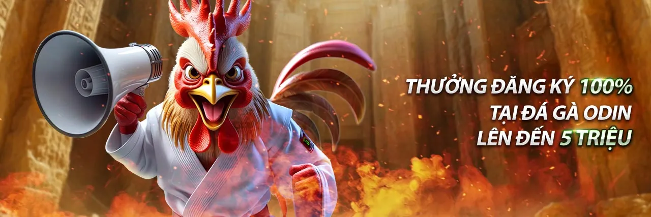 Hình ảnh một trận đá gà trực tiếp sôi động, minh họa cho các tài nguyên về đá gà.